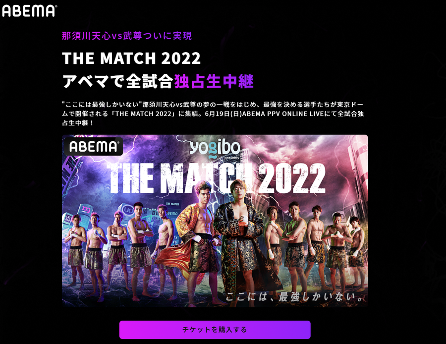 公式サイトのチケット購入画面